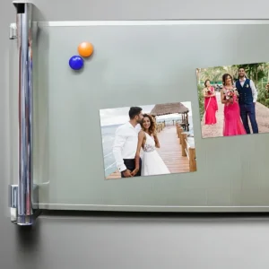 Fridge Magnets